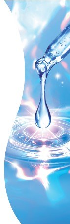 商願2026-021315の商標見本