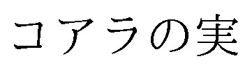 コアラの実 商願2026-021883の商標見本