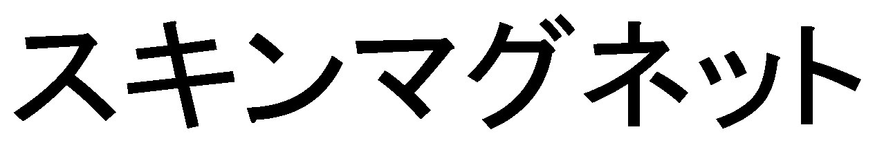 スキンマグネット 商願2026-022566の商標見本