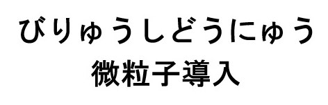 びりゅうしどうにゅう 微粒子導入 商願2026-023868の商標見本