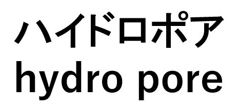 ハイドロポア hyaro pore 商願2026-024712の商標見本
