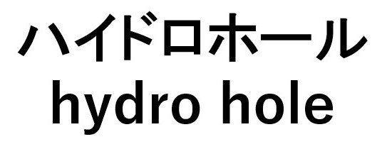 ハイドロホール hyaro hole 商願2026-024713の商標見本