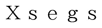 Xsegs 商願2026-025031の商標見本