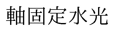 軸固定水光 商願2026-029037の商標見本