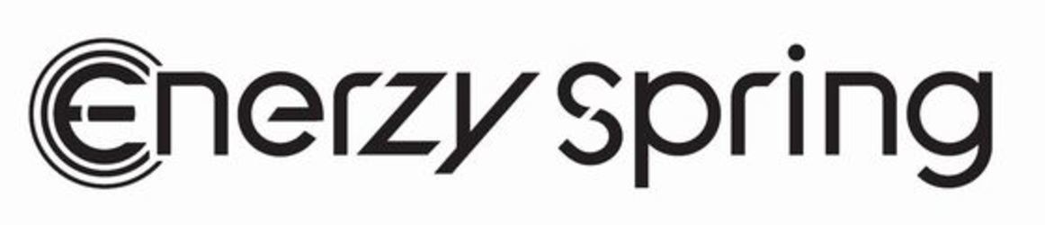 Enerzy spring 商願2026-029245の商標見本