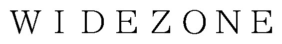 WIDEZONE 商願2026-030449の商標見本