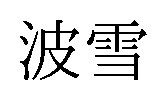波雪 商願2026-034255の商標見本
