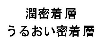 潤密着層 うるおい密着層 商願2026-037109の商標見本