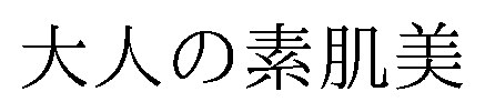 大人の素肌美 商願2026-037261の商標見本