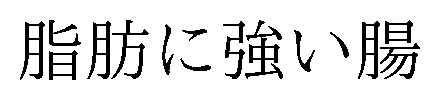 脂肪に強い腸 商願2026-042309の商標見本