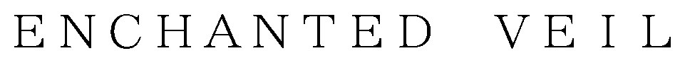 ENCHANTED VEIL 商願2026-044911の商標見本