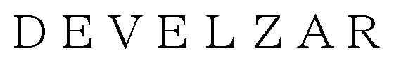 DEVELZAR 商願2026-048568の商標見本