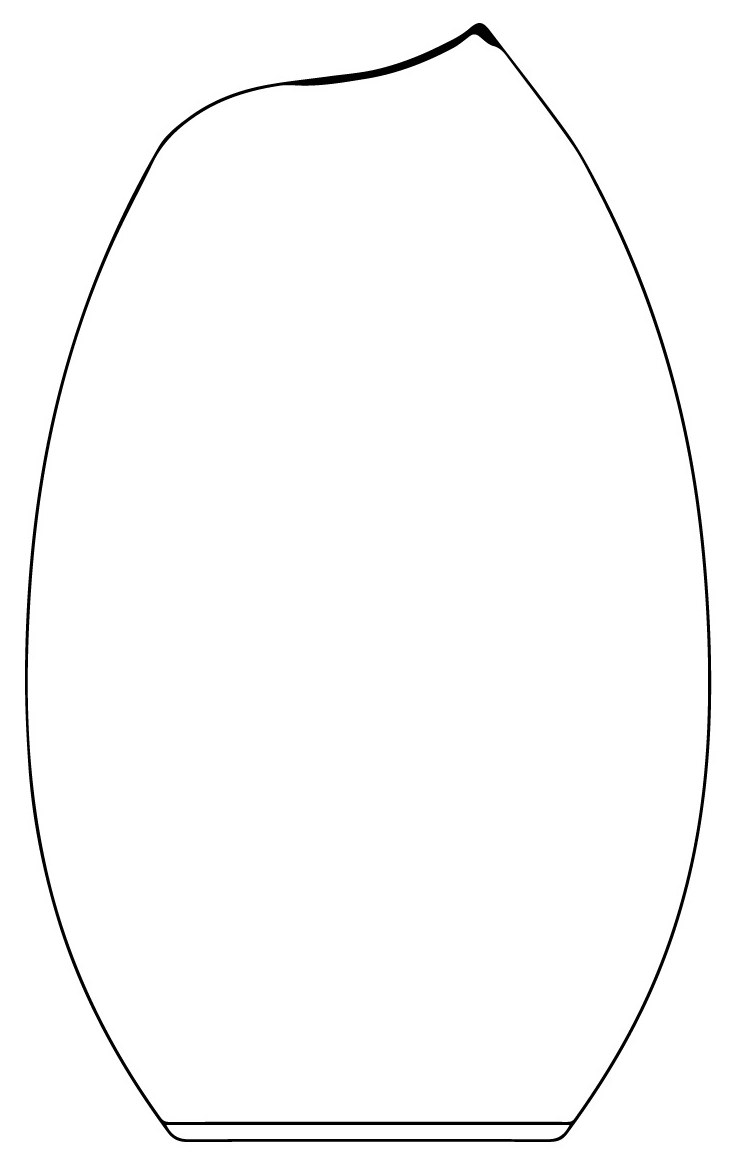 商願2026-049858の商標見本