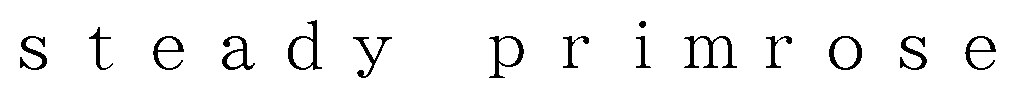 steady primrose 商願2026-052293の商標見本