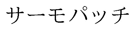 サーモパッチ 商願2026-055557の商標見本
