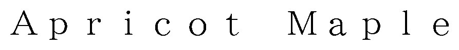 Apricot Maple 商願2026-058234の商標見本