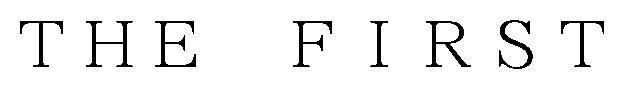 THE FIRST 商願2026-060549の商標見本