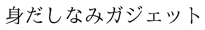 身だしなみガジェット 商願2026-062916の商標見本