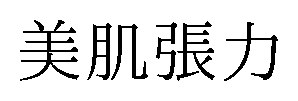 美肌張力 商願2026-063852の商標見本