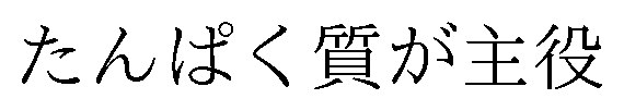 たんぱく質が主役 商願2026-068114の商標見本