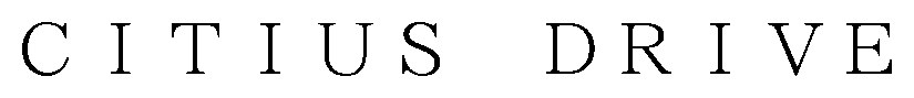 CITIUS DRIVE 商願2026-068455の商標見本