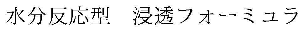 水分反応型 浸透フォーミュラ 商願2026-072796の商標見本