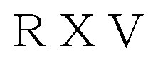 RXV 商願2026-074164の商標見本