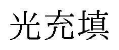 光充填 商願2026-079279の商標見本