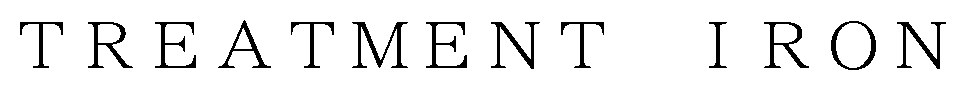 TREATMENT IRON 商願2026-079512の商標見本