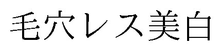 毛穴レス美白 商願2026-080074の商標見本