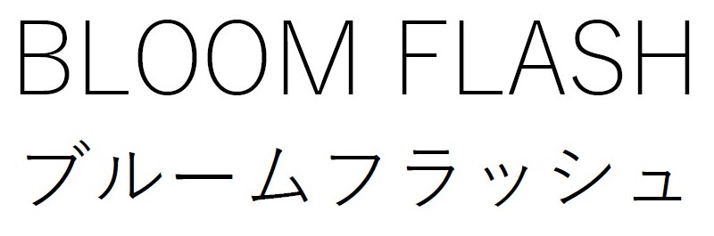 BLOOM FLASH ブルームフラッシュ 商願2026-082155の商標見本