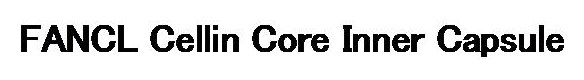 FANCL Cellin Core Inner Capsule 商願2026-083245の商標見本