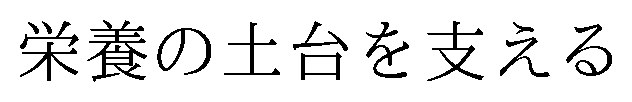 栄養の土台を支える 商願2026-093738の商標見本
