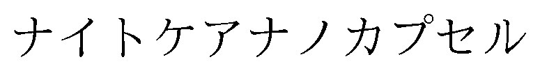 ナイトケアナノカプセル 商願2026-095053の商標見本