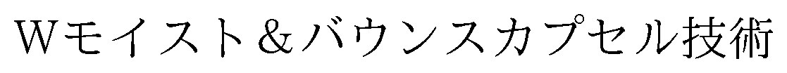 Wモイスト&バウンスカプセル技術 商願2026-096013の商標見本