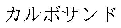 カルボサンド 商願2026-098510の商標見本
