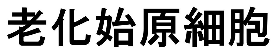 老化始原細胞 商願2026-098748の商標見本