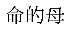 命的母 商願2026-099098の商標見本