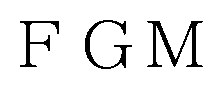 FGM 商願2026-099994の商標見本