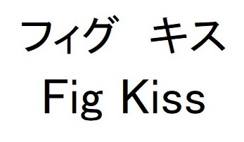 フィグ キス Fig Kiss 商願2026-101649の商標見本