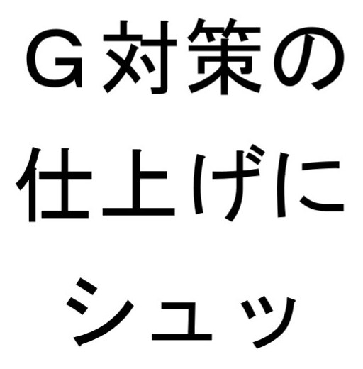 G対策の 仕上げに シュッ 商願2026-102807の商標見本