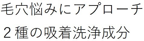 毛穴悩みにアプローチ 2種の吸着洗浄成分 商願2026-103489の商標見本