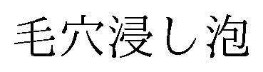 毛穴浸し泡 商願2026-105382の商標見本