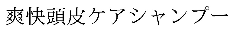 爽快頭皮ケアシャンプー 商願2026-106452の商標見本