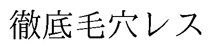 徹底毛穴レス 商願2026-106457の商標見本