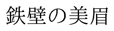鉄壁の美眉 商願2026-106459の商標見本