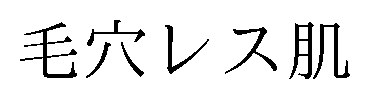 毛穴レス肌 商願2026-106461の商標見本