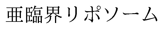 亜臨界リポソーム 商願2026-106526の商標見本