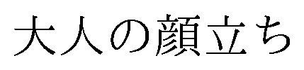 大人の顔立ち 商願2026-106741の商標見本