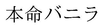 本命バニラ 商願2026-107101の商標見本